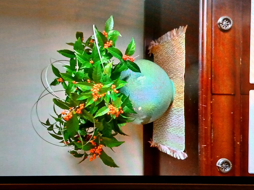 ピクニック写真