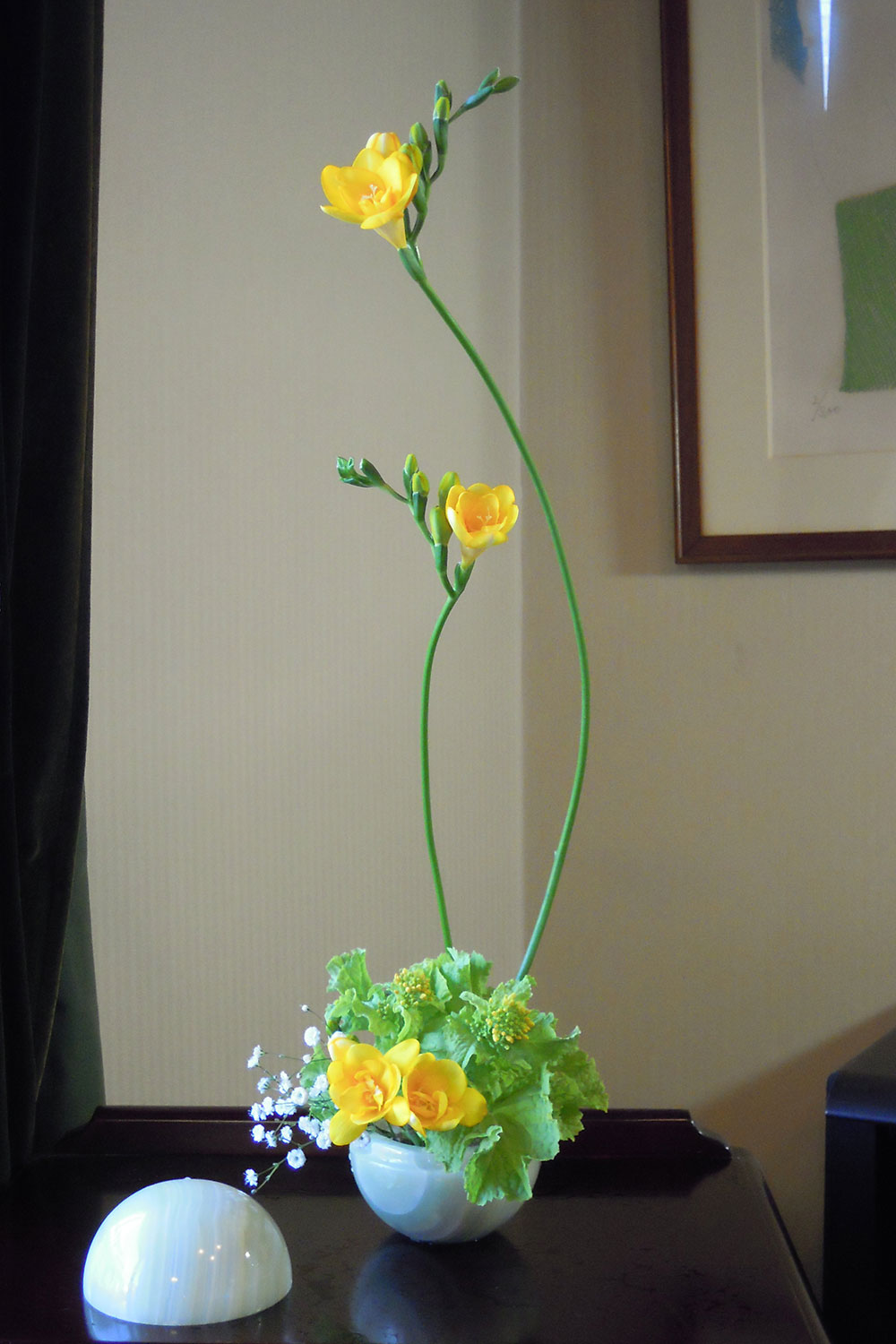 フルーツの写真