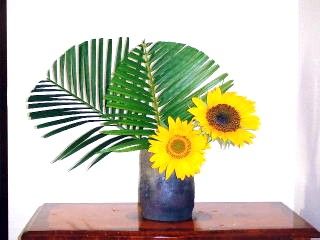 Englishページ左画像