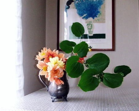 リンクのお部屋の花１